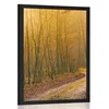 Plakat steza v gozd - 40x60 no frame