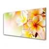 tulup.si Slika na akrilnem steklu Cvetovi rastlin narava 100x50 cm 2 obešalnika