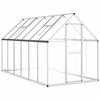 Staklenik s okvirom srebrni 334 x 169 x 195 cm aluminijski