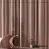 Disco NT