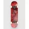 Globe G2 Dot Gain 8.125 Complete rose