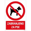 Samolepljiva nalepnica - zabranjeno za pse - 230x330mm
