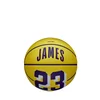 Wilson lopta NBA Player Icon Mini Bsk Lebron new unisex