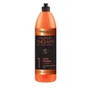 Protein Šampon za Kosu bez Sulfata PROTEIN THERAPY PROSALON | Farbana Kosa | Kozmo Shop Online
