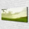 tulup.si Slika na platnu Narava green meadow view 120x60 cm
