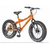 VISITOR Fat Bike 20