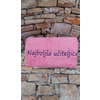 BRISAČA UČITELJICA