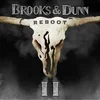 Brooks & Dunn - Reboot II (2 LP)