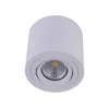 Emithor 48606 - Plafonska spot svetiljka SURFACE 1xGU10/50W/230V