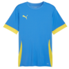 Dres Puma teamGOAL Matchday Jersey