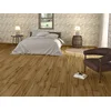 OLIVO MIEL 30x120