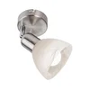 Globo 818901016X - LED zidno spot svetlo DAYTONA 1xE14/5W/230V