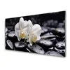 tulup.si Slika na steklu Zen bela orchid spa 120x60 cm 4 obešalnika