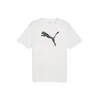PUMA Funkcionalna majica teamRISE siva/bela