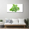 tulup.si Slika na steklu Mint rastlin narava 100x50 cm 4 obešalnika