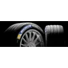 Michelin Pilot Sport EV ( 295/30 ZR21 102Y XL Acoustic, EV, MO1, sa zaštitnom lajsnom za felne (FSL) )