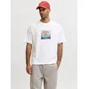 JACK & JONES Majica JCOECHO kit / svetlo modra / črna / bela