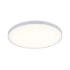Paulmann 79891 - LED/19W Plafonsko svetlo VELORA 230V