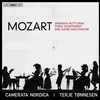 MOZART:SERENATA NOTTRNA.DIVERTIMENTI/CAMERATA NORDICA