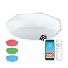 Top Light Sparkle 40 SMART - LED RGB prigušiva svetiljka LED/30W/230V Tuya + daljinski upravljač