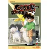 Case Closed, Vol. 29