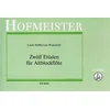 WINTERFELD-LINDE:12 ETUDEN F.ALTBLFL(B-28)