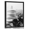 Plakat Zen kamni s školjkami v črnobeli varianti - 60x90 black