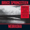 Bruce Springsteen - Nebraska 82: Expanded Edition (Remastered) (4 LP + Blu-ray)
