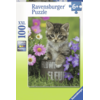 Ravensburger sestavljanka, Muca, 100/1