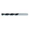 Raider 157732 Burgija za drvo, 4 mm