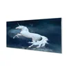 tulup.si Steklena slika Unicorn planet nebo 120x60 cm 2 obešalnika