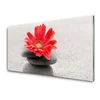 tulup.si Slika na steklu Gerbera cvet 120x60 cm 4 obešalnika