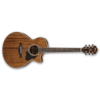 IBANEZ AE245-NT elektro-akustična kitara