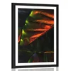 Plakat s paspartujem tropski palmovi listi - 60x90 white