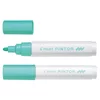 Pilot marker Pintor MEDIUM, pastelno zelen SW-PT-M-PG (6 kos)