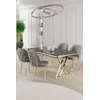 Hanah Home Set Trpezarijski sto i 4 stolice Rigel, Sivo-beli