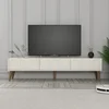 Hanah Home TV komoda Lyon 44 845HCT5596