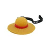 Lampa Teknofun - One Piece - Light Up - Straw Hat