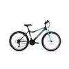 CAPRIOLO DIAVOLO DX 600 crno-tirkiz