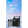 Edifier Bežični karaoke zvučnik sa 2 mikrofona PK205S, Bluetooth, Sivi