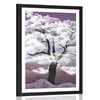 Plakat s paspartujem drevo obdano z oblaki - 60x90 silver