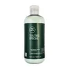Paul Mitchell Tea Tree Special Conditioner 500 ml