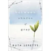 Between Shades Of Gray