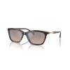 EMPORIO ARMANI Ženske naočare za sunce 0EA4238 50266I 54, Braon