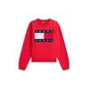 Tommy Jeans Majica modra / rdeča / bela