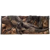 3D ozadje za akvarij 120x60 cm - AMAZON