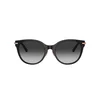 Tiffany Naočare za sunce TF 4223D 80013C