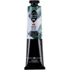 Nevskaya Palitra Akrilna barva Master Class 46 ml Green Deep