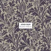 John Blek - Thistle & Thorn (LP)
