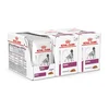 Royal Canin VHN Dog Renal 36 x 100 g